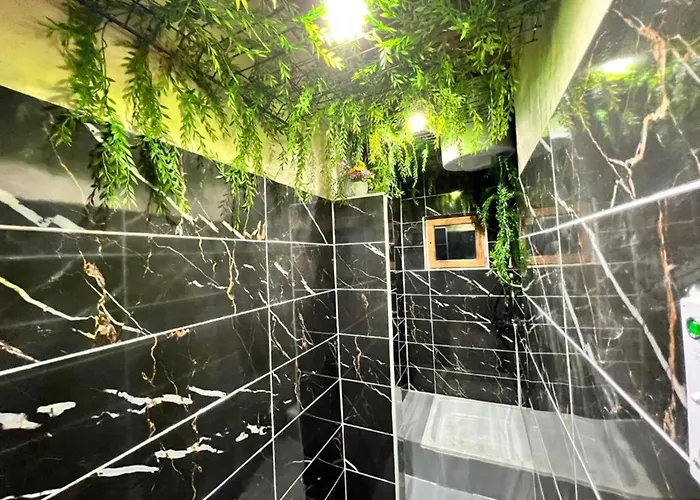 Sarajevski Begluk * Saraievo